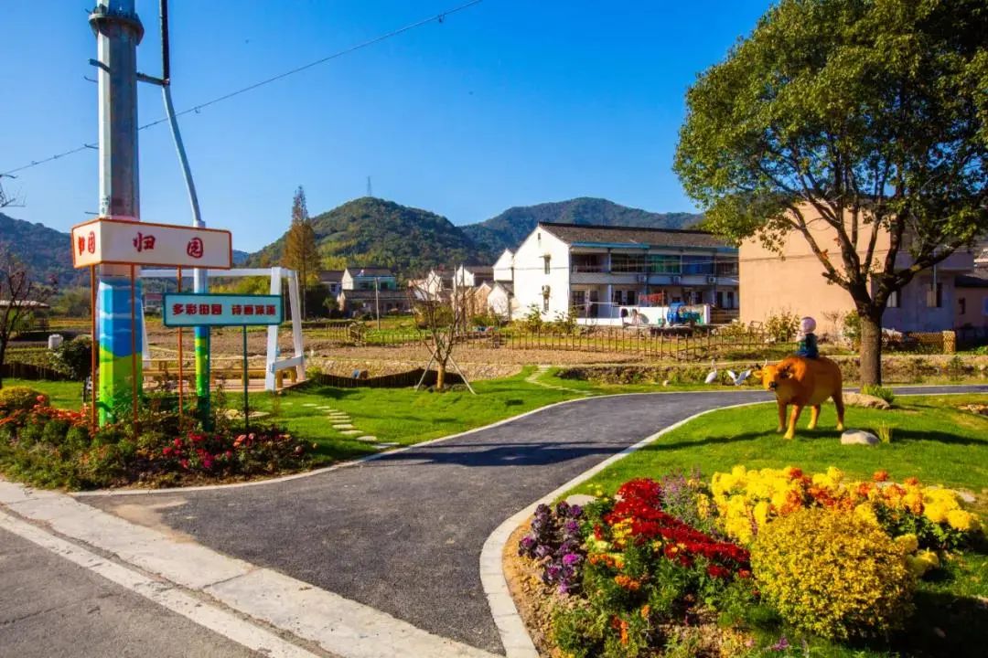 美丽庭院集士港镇绿从心意起芳自满庭来