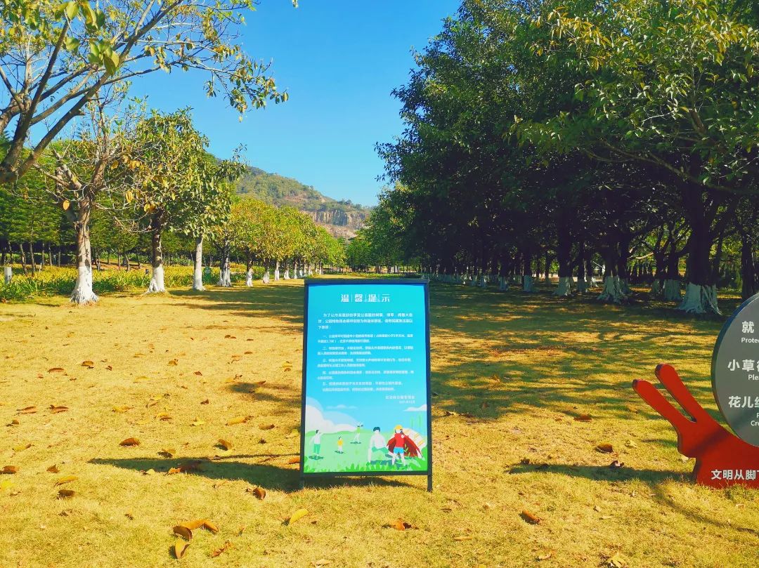 紅花嶺公園 紅花嶺公園烈士紀念碑右後側空曠區域