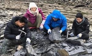 湖北发现“清江生物群”，或为已发现寒武纪化石的最大宝库