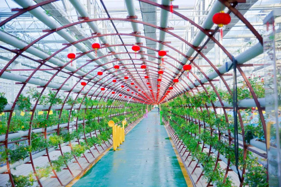 金山这个好吃好看好玩的农业休闲体验园正式开园!