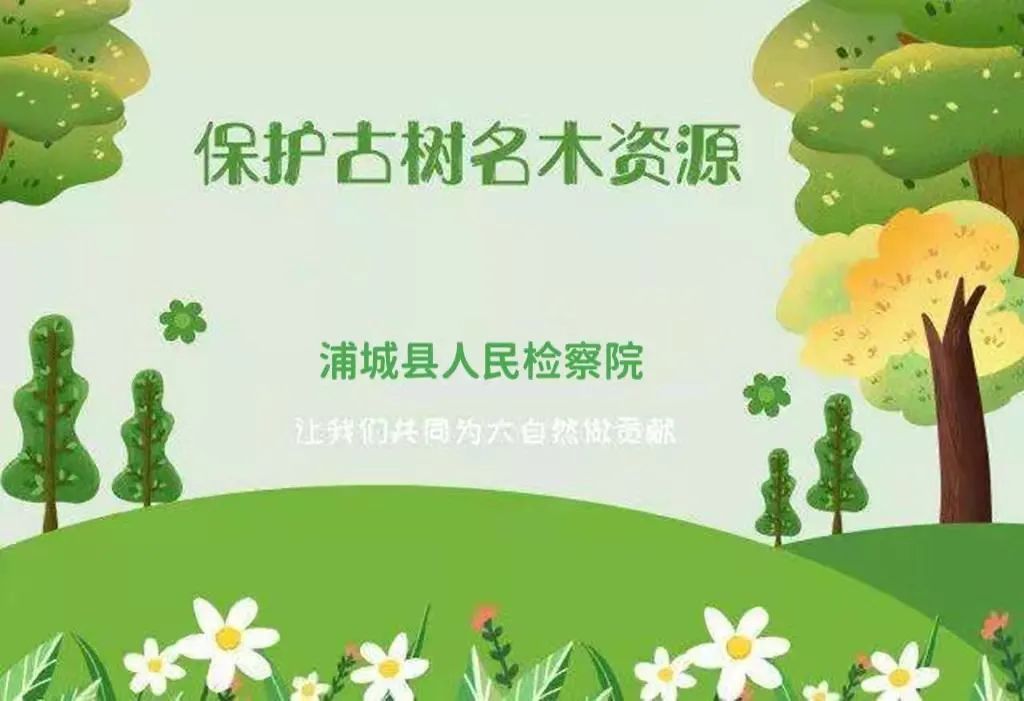 浦城检察公开听证公开送达为古树名木撑起司法保护伞