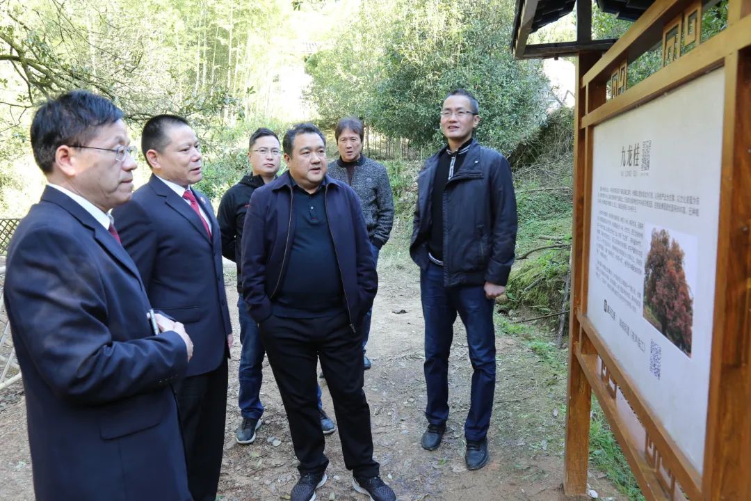 浦城检察公开听证公开送达为古树名木撑起司法保护伞