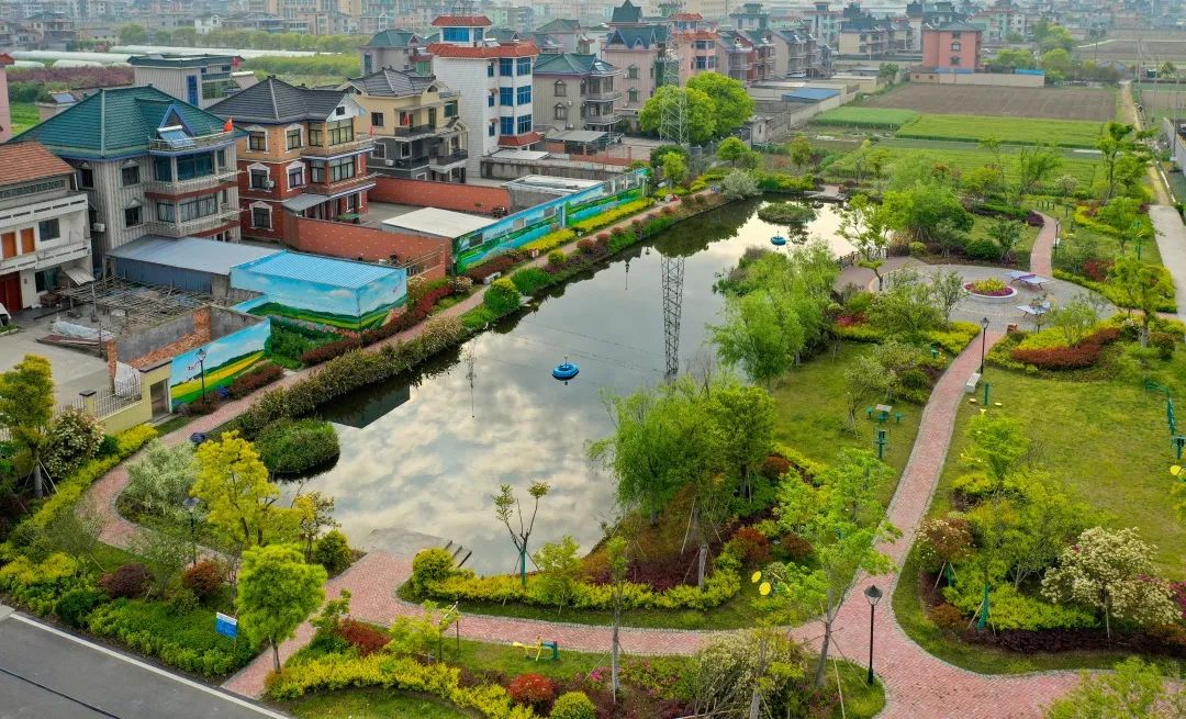 新乡贤工作进行时杭州市钱塘区新湾街道凝聚新乡贤力量画好心湾同心圆