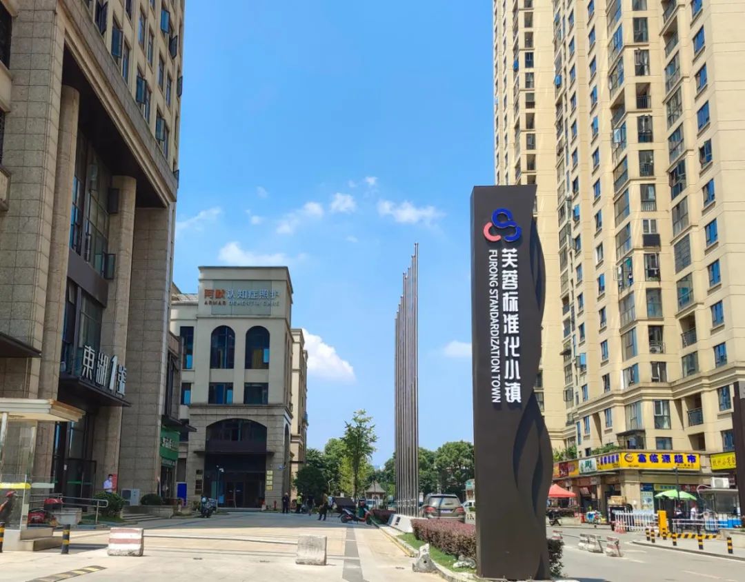 冲刺2021芙蓉标准化小镇再壮大赋能产业高质量发展