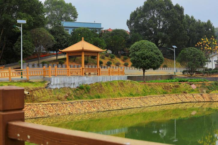 聚焦三提升三下降丨跳马镇扮靓美丽宜居村庄擘画乡村振兴新图景