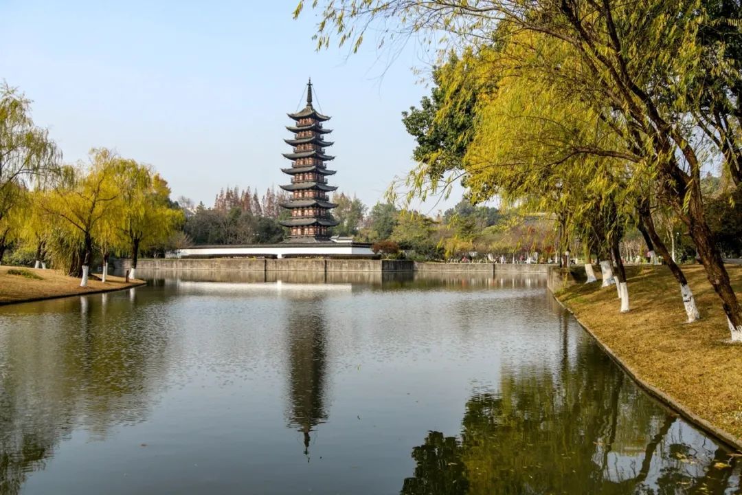 水中的松江美翻了随手一拍就是大片