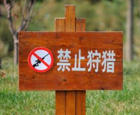 都将受到法律制裁任何"以身试法"更是严令禁止非法捕猎野生动物是每个