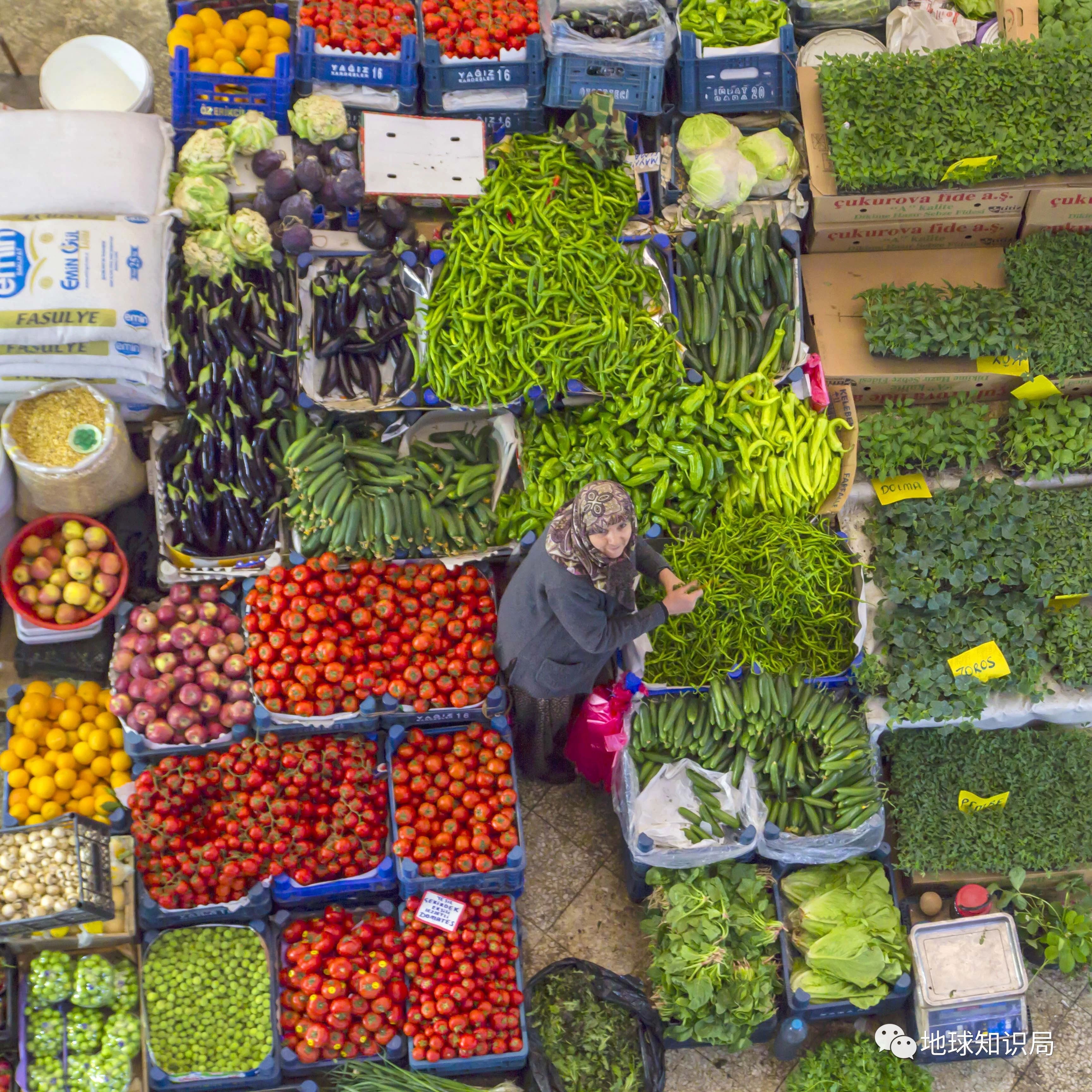 土耳其，跌妈不认