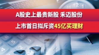 A股史上最贵新股，禾迈股份，上市首日拟斥资45亿买理财