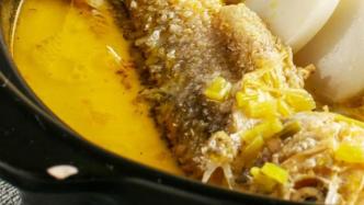 這條黃黃的魚，到底有多饞人？