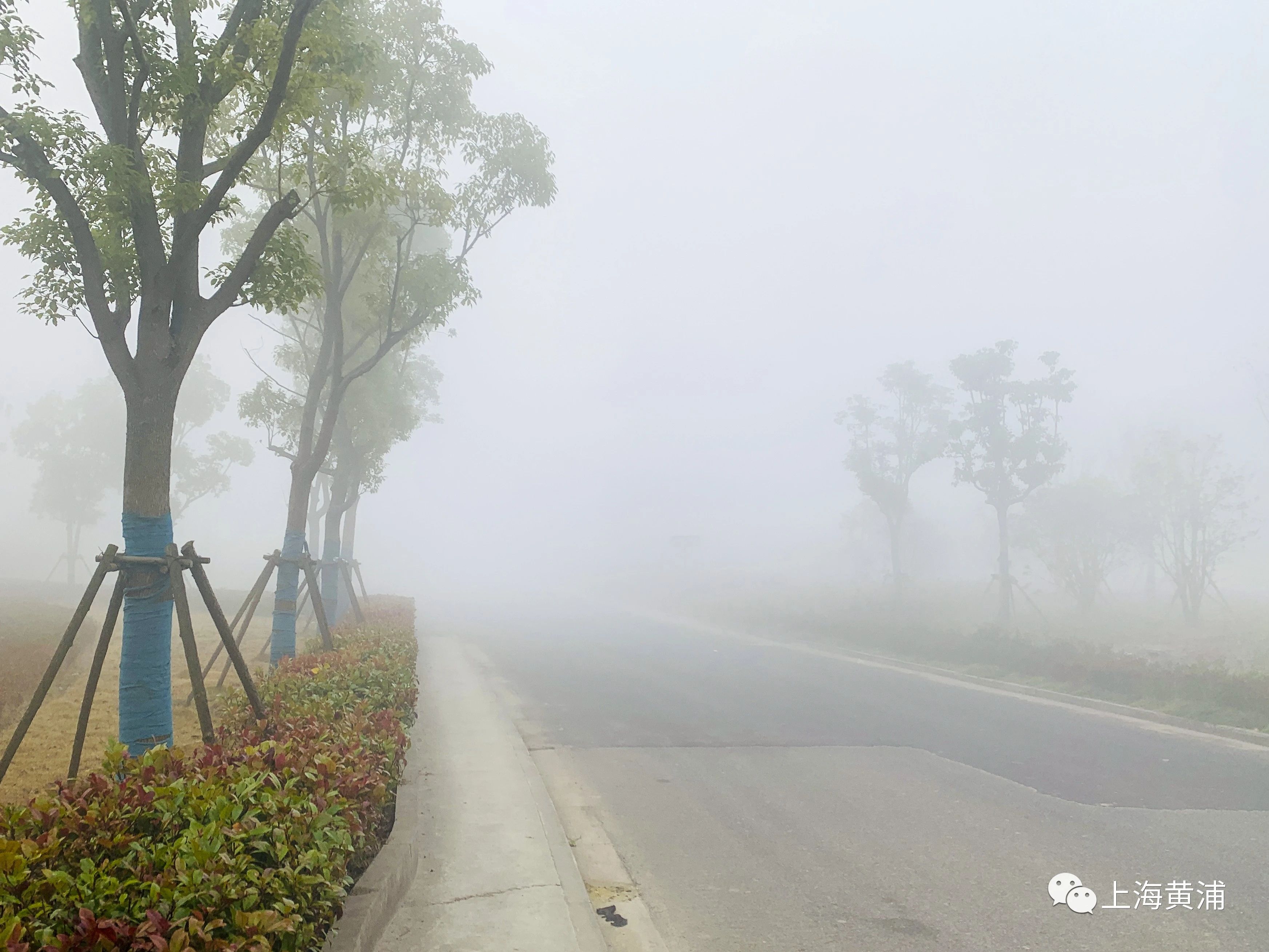 街拍黄浦|大雾橙色预警高挂,晨雾中的街景