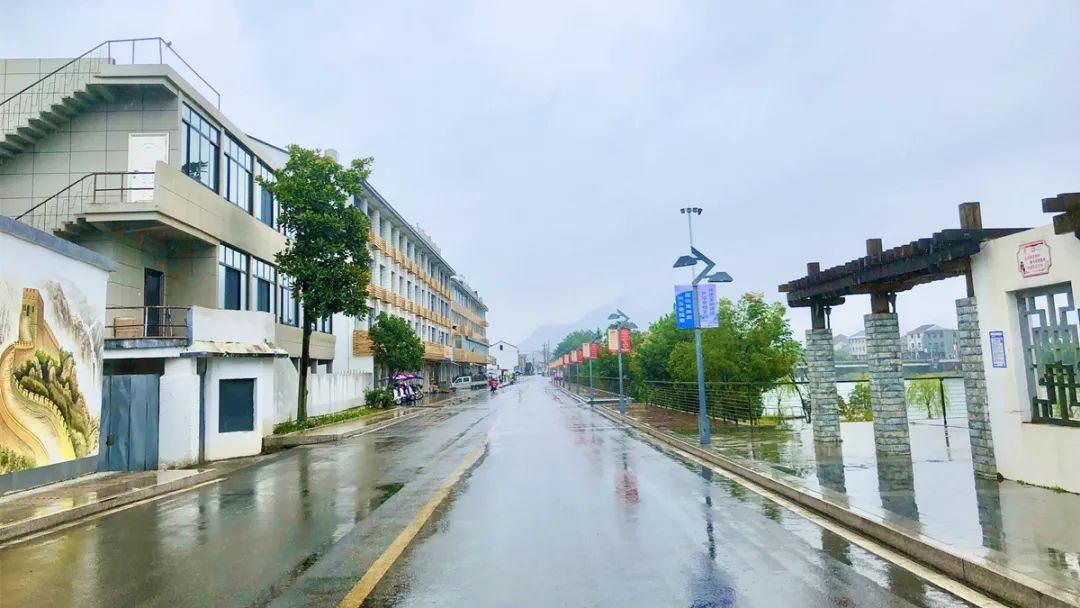 沙柳街道蛇蟠乡锚定打造生态,宜居,活力,魅力,和谐"五大"品牌目标