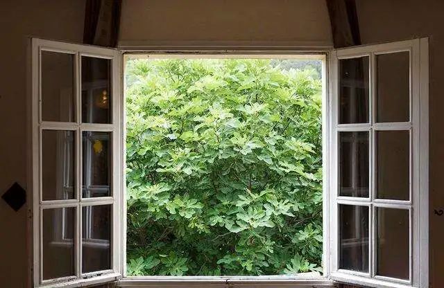 夜深读倚南窗以寄傲审容膝之易安