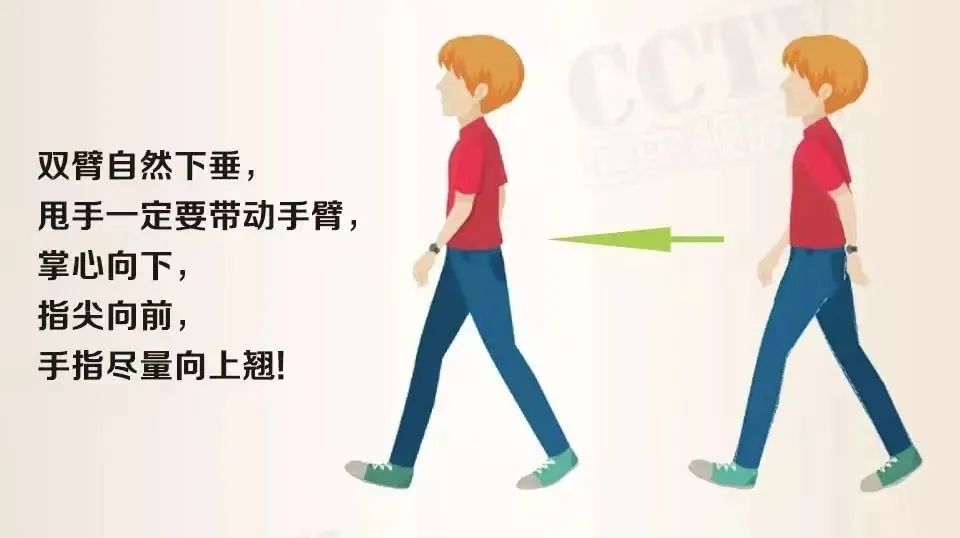 自然摆臂脚迈向正前方膝盖伸直抬头,背部挺直放松快来瞅一瞅吧正确