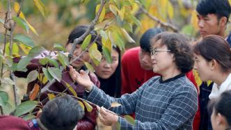 天水师范学院甘肃省大樱桃技术创新中心提升区域果业高质量发展