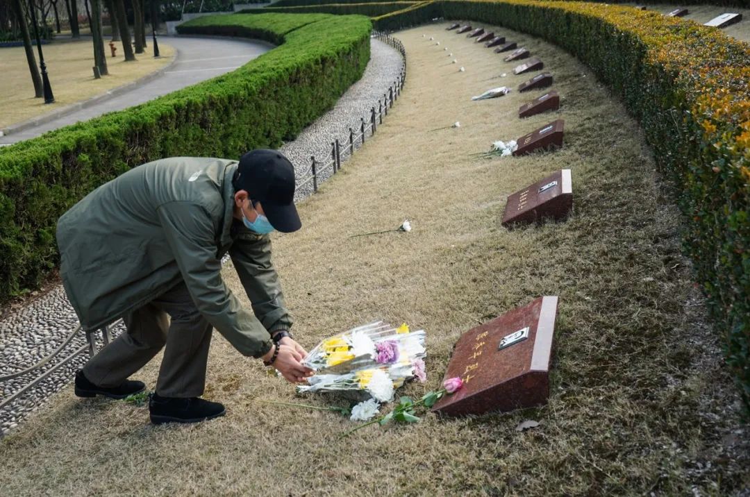 又是一年冬至时龙华烈士陵园冬日祭扫迎高峰