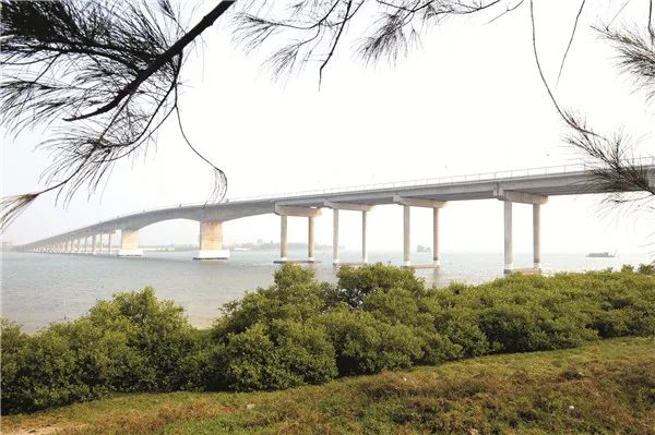 雷州半岛跨海大桥图片