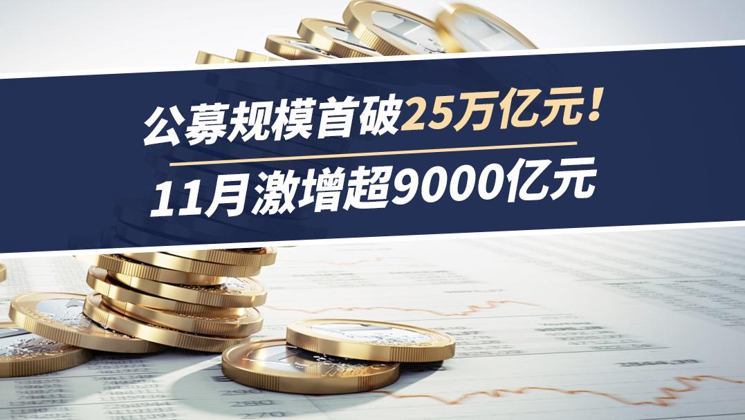 公募规模首破25万亿元，11月激增超9000亿元