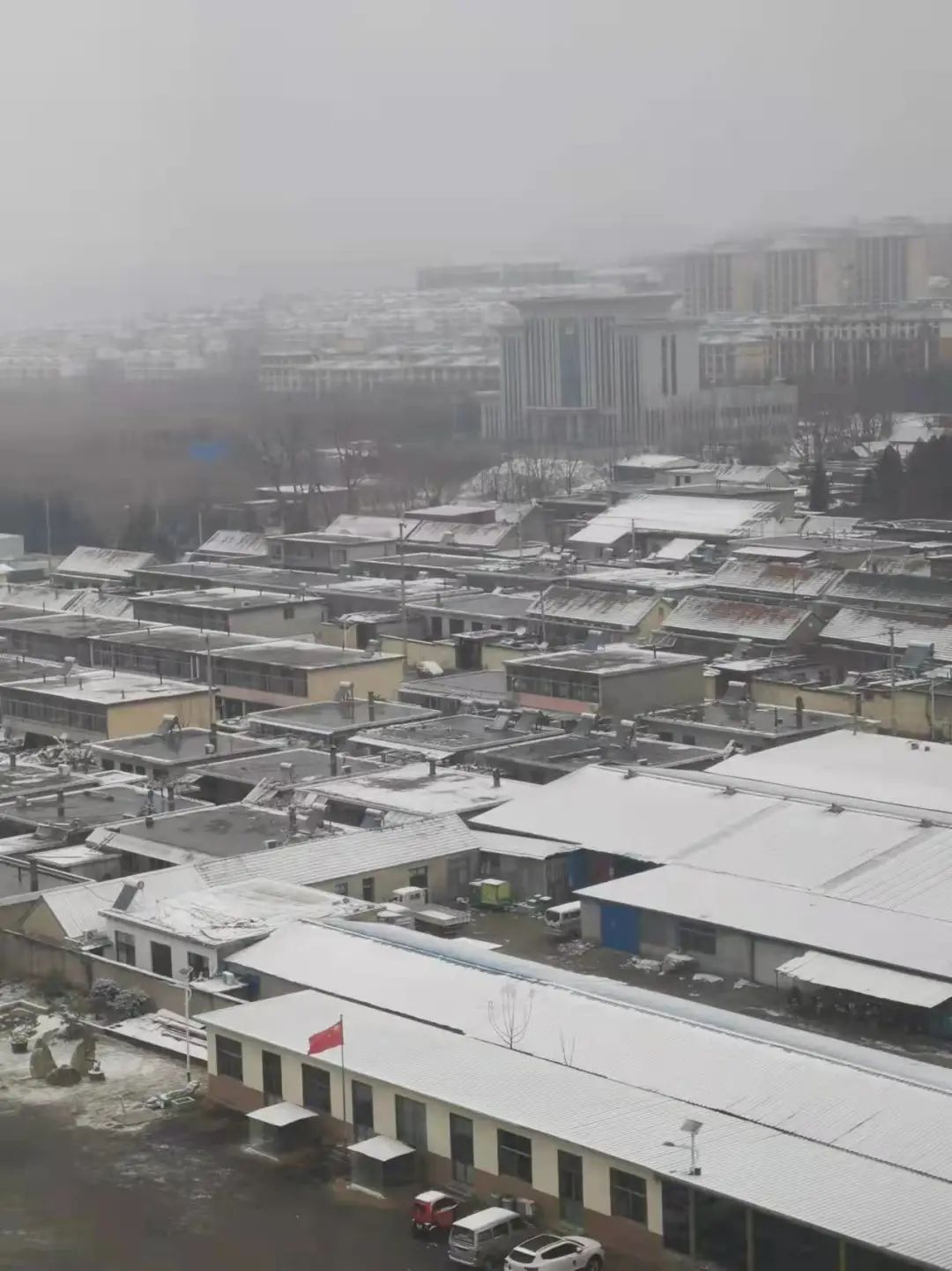 一觉醒来，北京又下雪了！新鲜雪景图已“到货”-千龙网·中国首都网