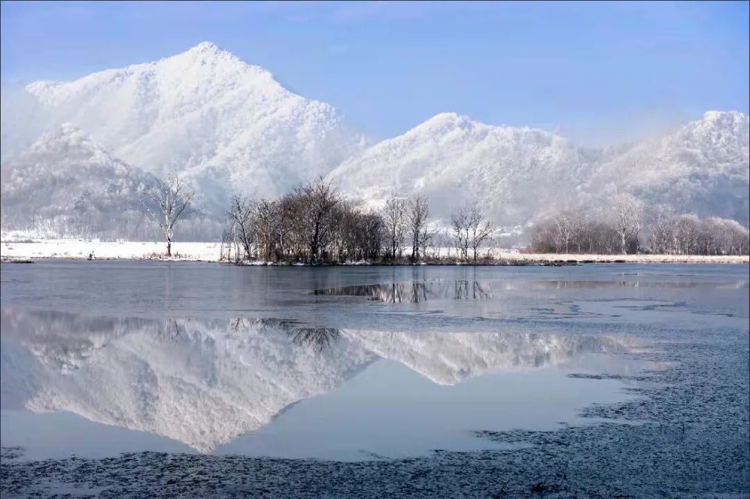 神农架冬韵丨大九湖的冬天