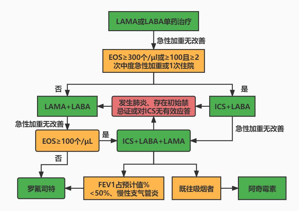 肺气肿的发病机制图片