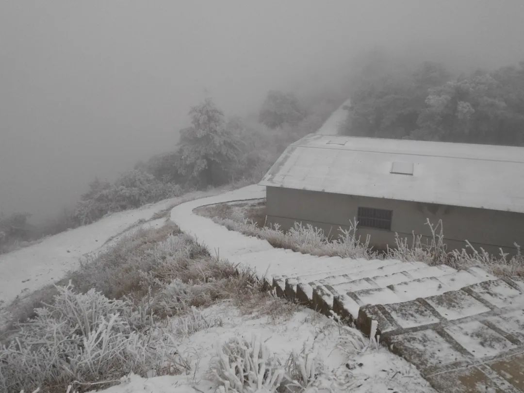 “瑞雪兆考研”,杭州下雪啦,这些事情要注意……(2023己更新)插图5