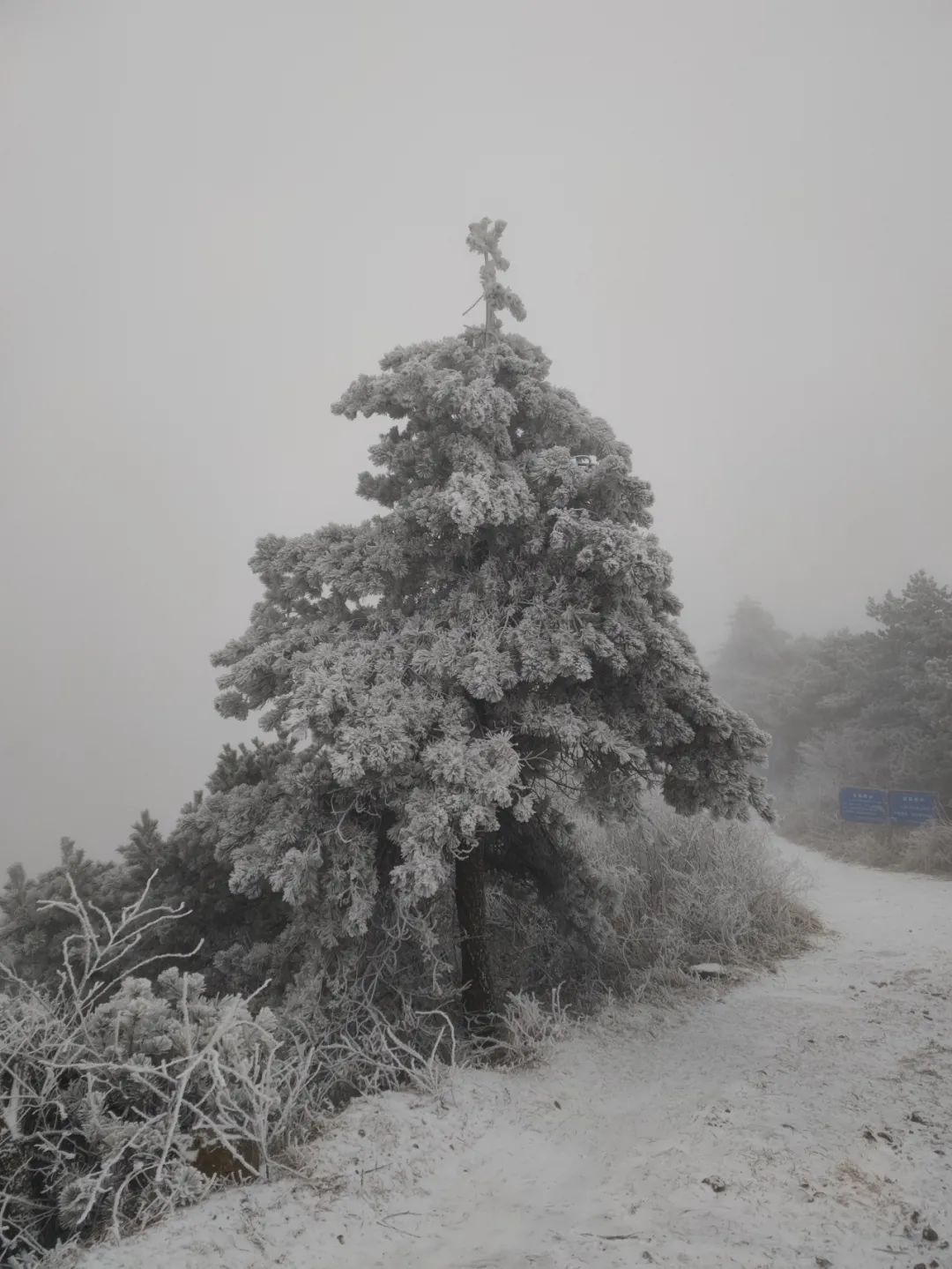 “瑞雪兆考研”,杭州下雪啦,这些事情要注意……(2023己更新)插图6