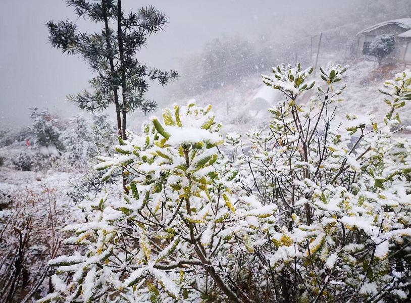 “瑞雪兆考研”,杭州下雪啦,这些事情要注意……(2023己更新)插图9