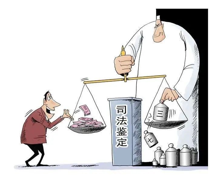 我为群众办实事之八十九揭秘法官办案中的神助攻司法鉴定意见书