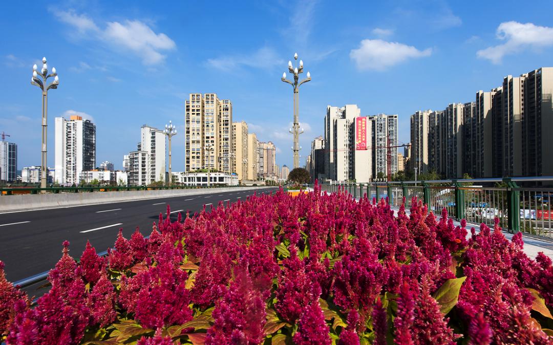 再次推介宜宾江安