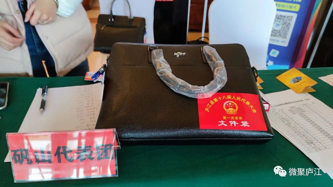 聚焦两会携民声赴盛会今日人大代表报到