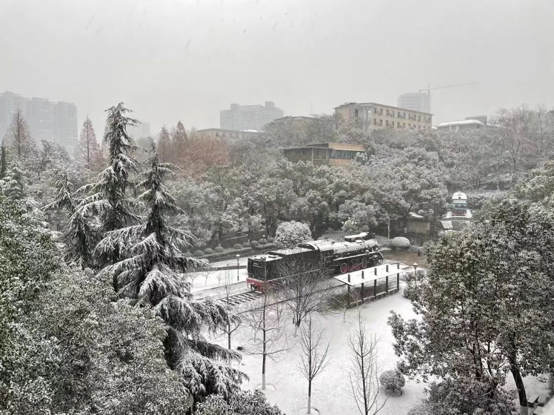 长沙真的下雪了此刻大雪纷飞