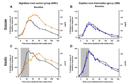 圖示:日間進食組與夜間進食組早餐後3小時血糖曲線與早期胰島素分泌