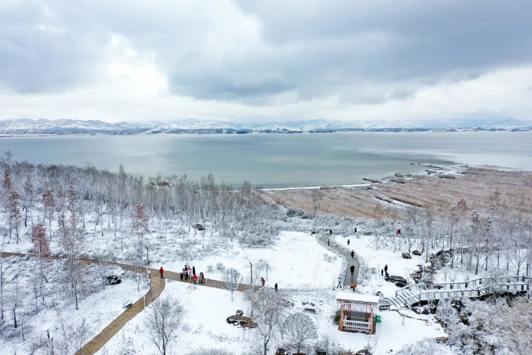草海北坡生态公园(何欢 摄)雪景很美但也要提醒大家别只顾着雪景拍美