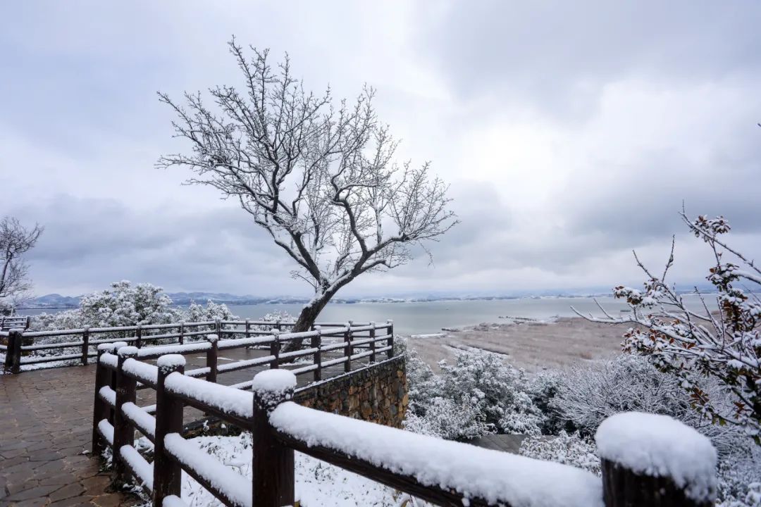 天氣預報沒有放鴿子威寧下雪了