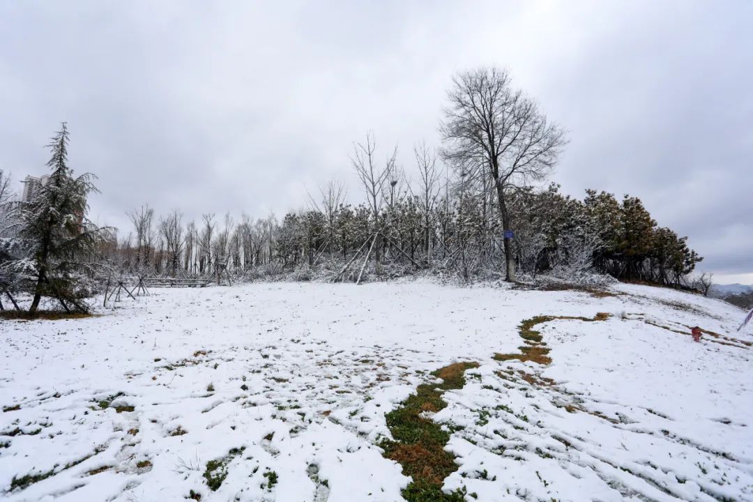 天氣預報沒有放鴿子威寧下雪了