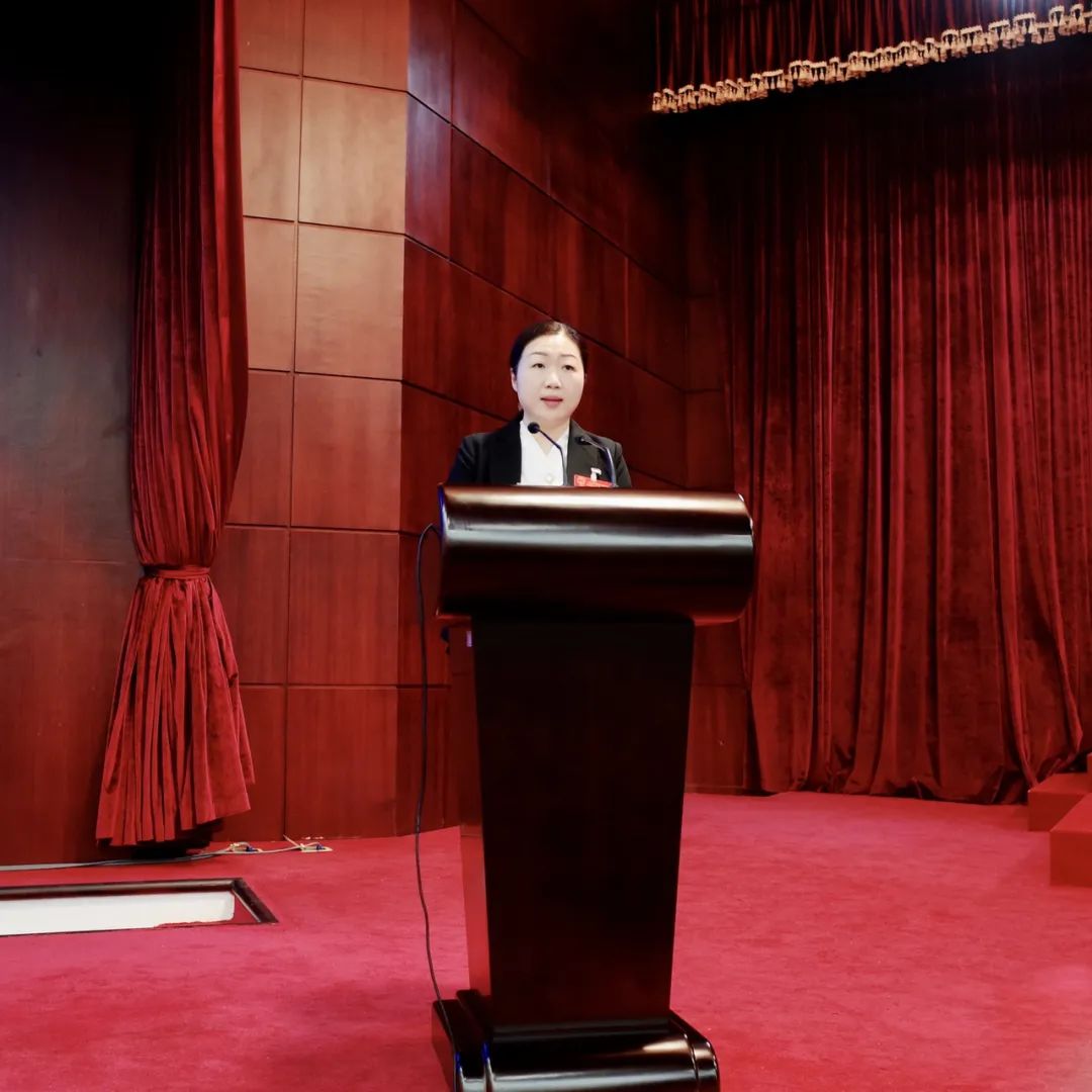 湖里区人民政府代理区长黄颖作政府工作报告.