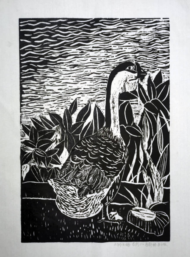 不容错过2021汕头澄海狮头鹅摄影书画作品展上线啦