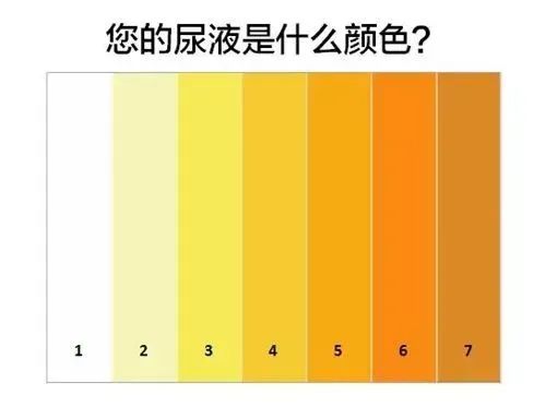 正常人的尿液颜色呈淡黄色,其色素主要来自尿黄素及少量的尿胆素和尿