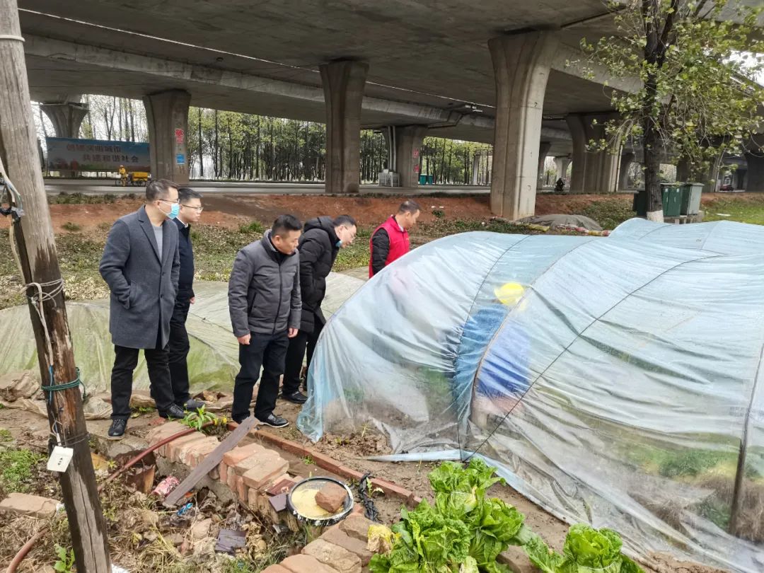 區城建局,區市容環境衛生服務中心和揚子洲鎮等防災重要場所,重點察看