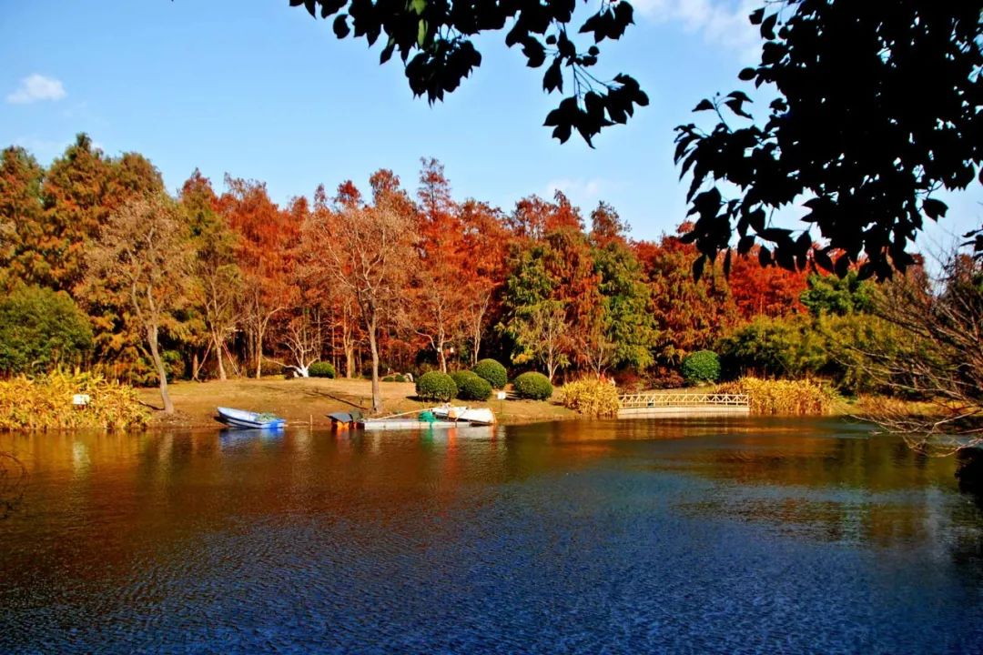 杨浦万竹园的景色一整个被美住