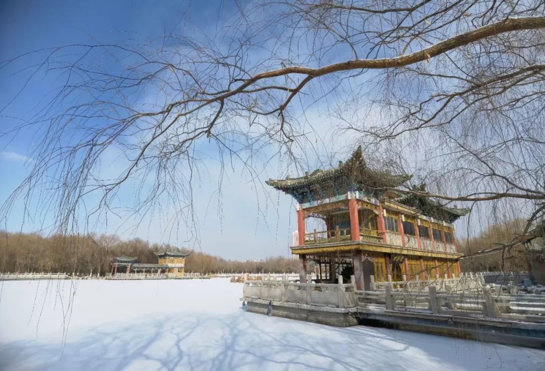 刘昌权 摄申贵斌 摄赵世斌 摄崔鸿伟 摄陈兴明 摄飞雁惊鸿 摄郭仓录