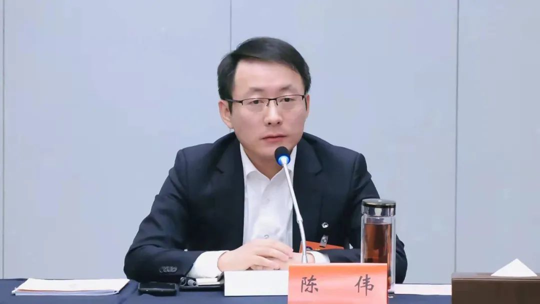 陈伟参加政协分组讨论抢抓发展机遇在肥西高质量发展中展现新作为