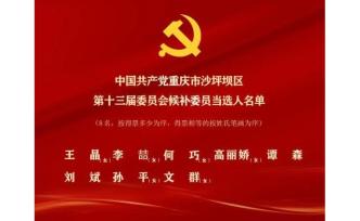 中国共产党重庆市沙坪坝区第十三届委员会委员、候补委员当选人名单