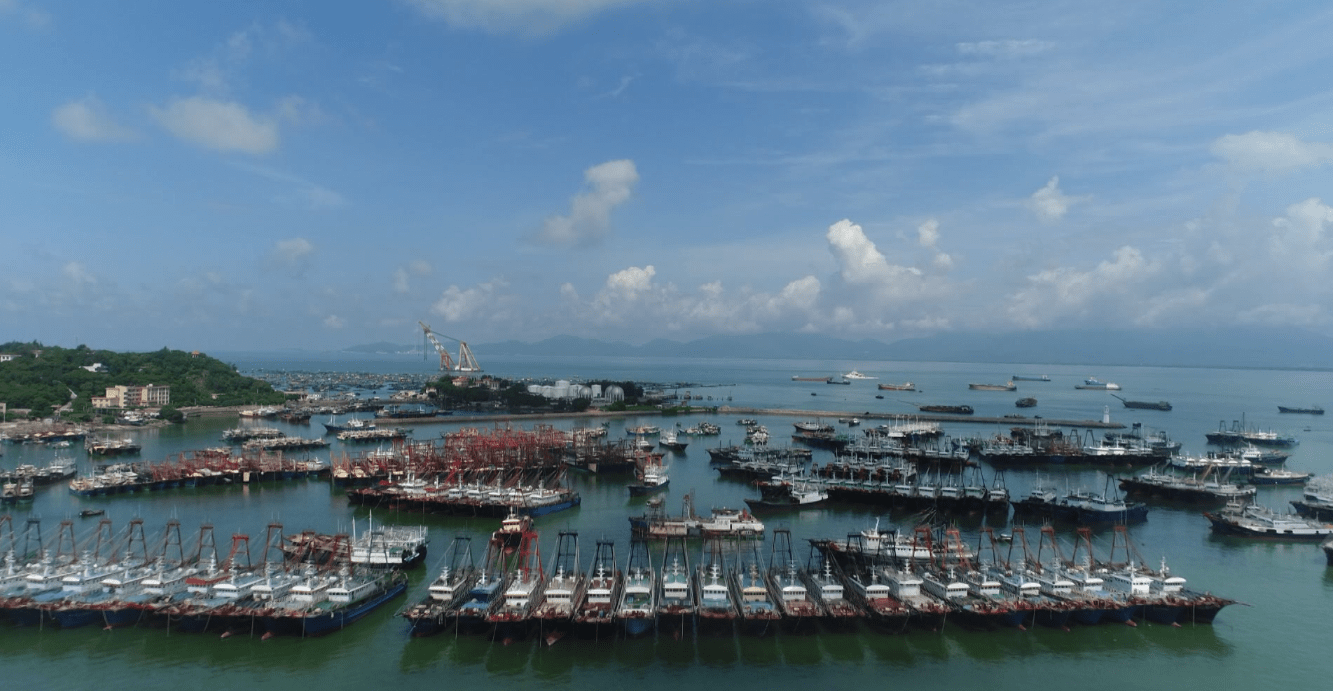 寒潮来袭600多艘渔船在闸坡渔港避寒