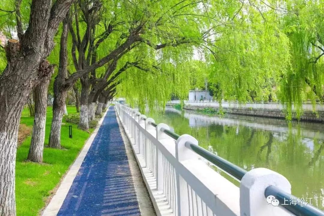 新校落户新增车位新建绿地松江洞泾镇2021年度民生亮点出炉啦