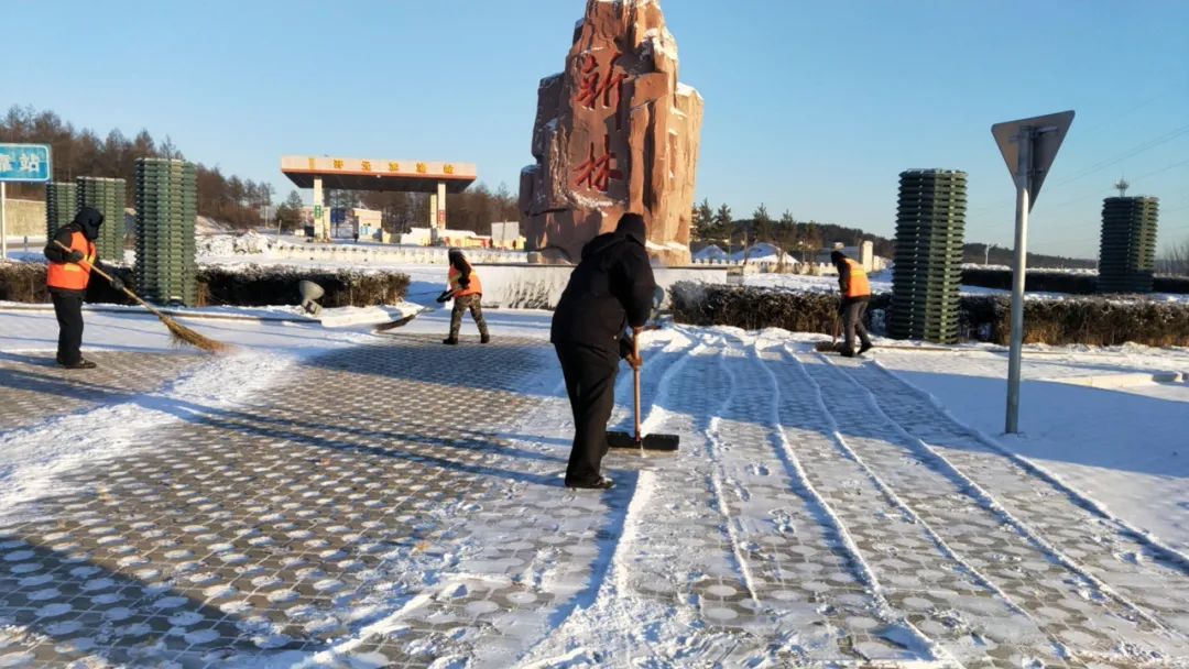 学党史悟思想办实事开新局新林镇严新细实让党史学习教育活起来