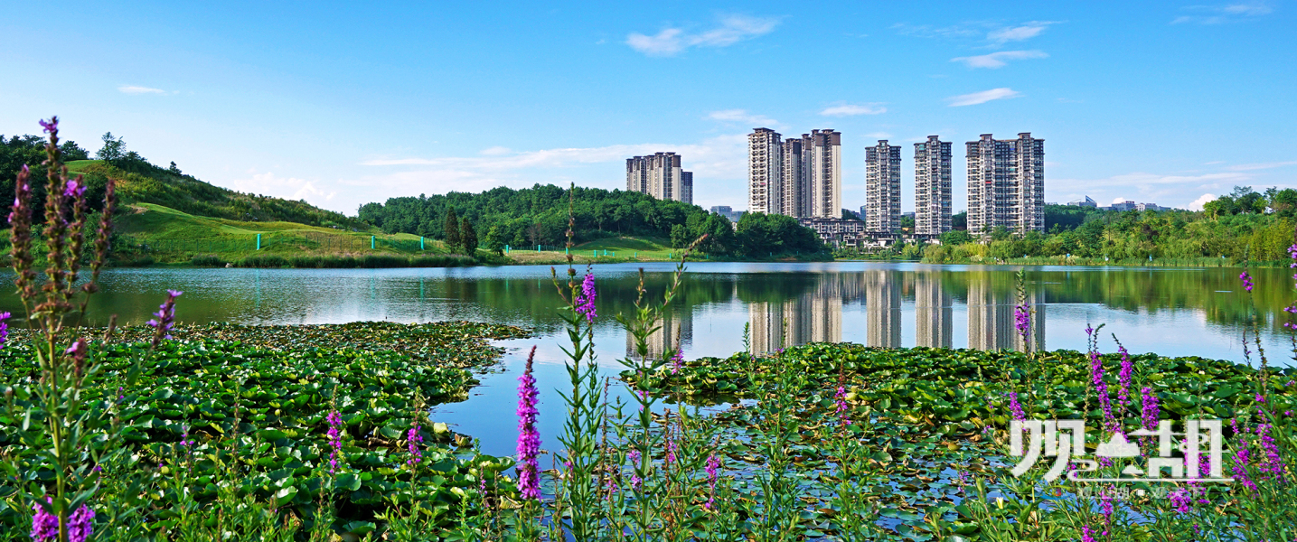 观山湖湿地公园图片图片