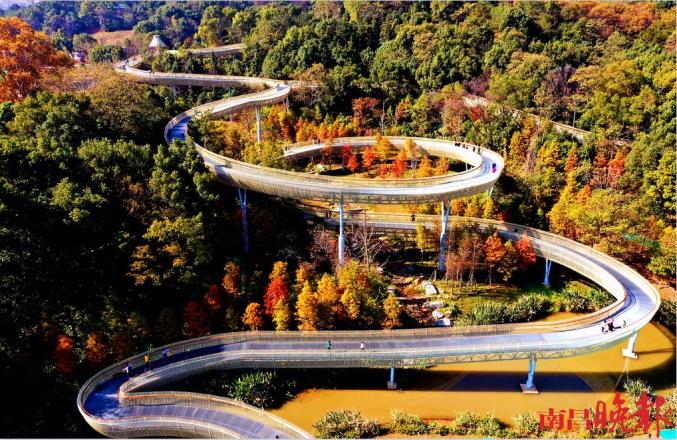 天桥——鹤舞鱼尾鱼尾洲湿地公园今年5月升级后的百花洲文旅街区全新