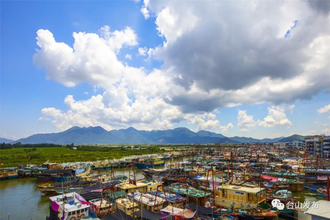 汶村镇深学细悟笃行党的十九届六中全会精神蓄磅礴